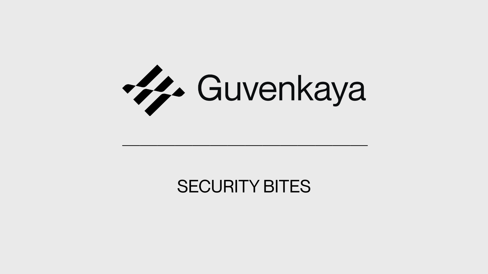 security-bites-visual